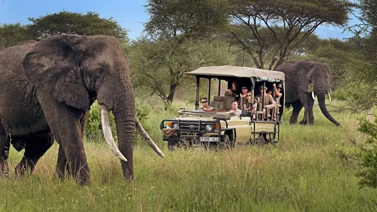 SAFARI TOUR